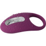 Эрекционное кольцо с вибрацией и пультом SVAKOM WINNI VIOLET SRING-02 W